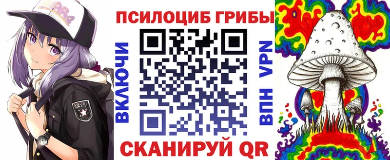 купить наркотики цена  Починок  kraken как зайти  Галлюциногенные грибы MAGIC MUSHROOMS 